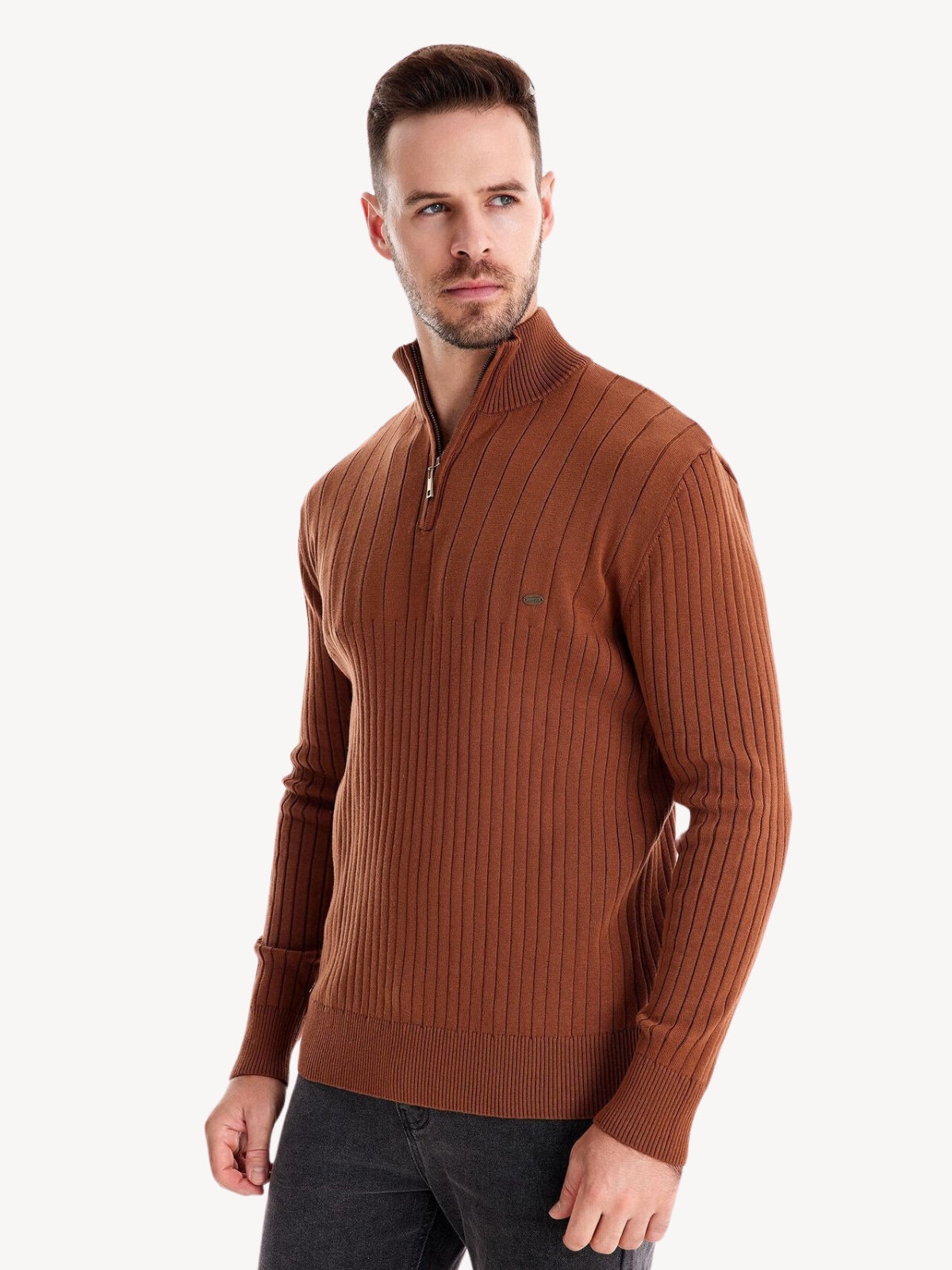 LEON - PULL AVEC ZIP QUART