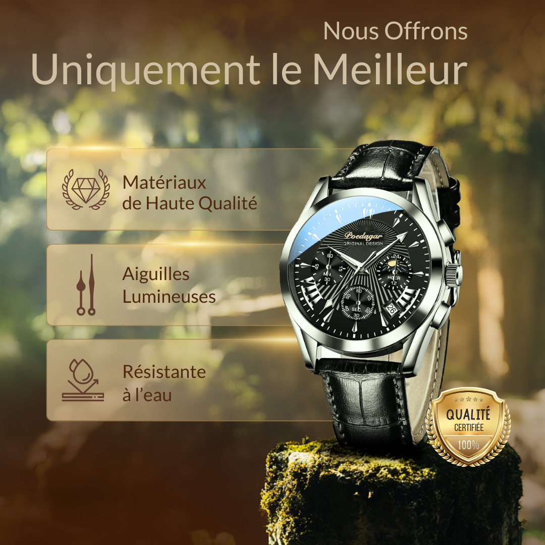 Montre de Luxe avec Bracelet en Cuir Élégant