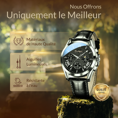 Montre de Luxe avec Bracelet en Cuir Élégant